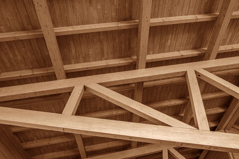 Roof Joist Repair detail