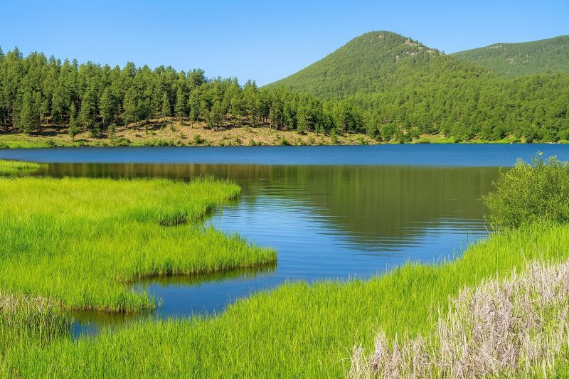 Carpentry Repair in Evergreen, CO