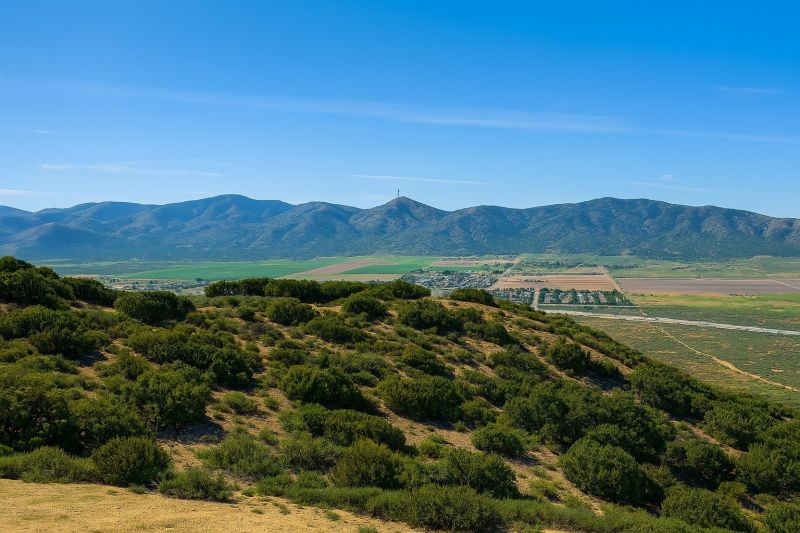 General Carpentry Service in Palmdale, CA