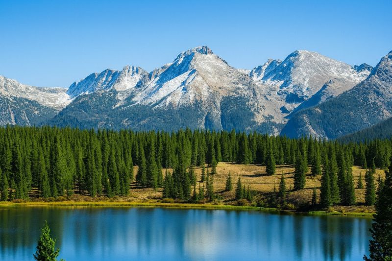 General Carpentry Service in Lafayette, CO