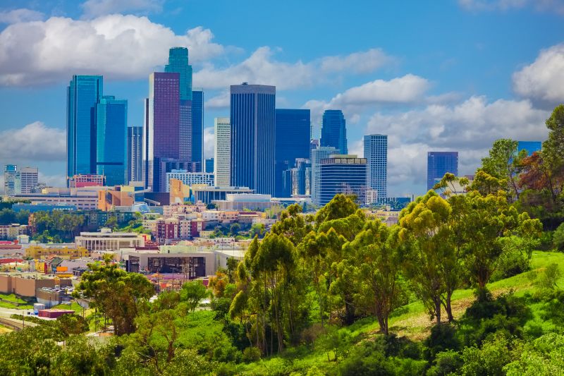 Residential Carpentry Service in Los Angeles, CA